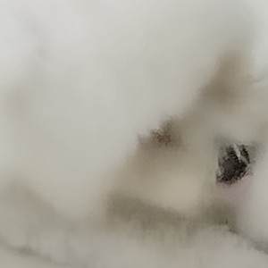 宇见宁（遇见你）的钢琴谱