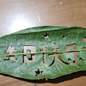 133****7971的钢琴谱