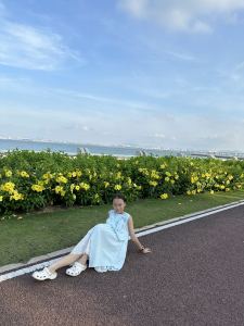 Merry Christmas Mr. Lawrence的演奏视频