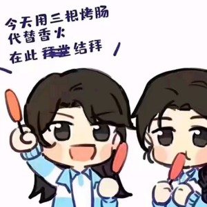 葬花的演奏视频