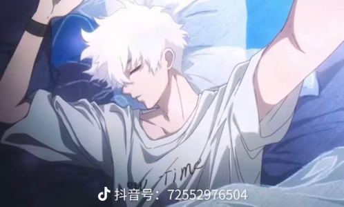 葬花的演奏视频