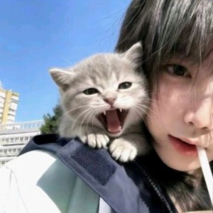 南极泪的钢琴谱