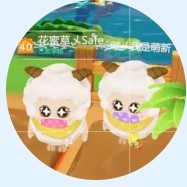 小星星的演奏视频