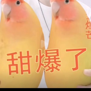 猪肉脯的个人空间