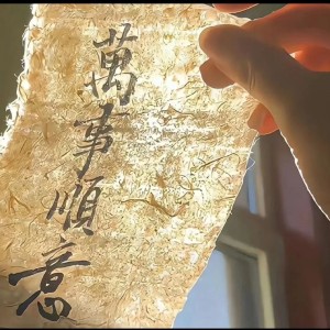 的演奏视频