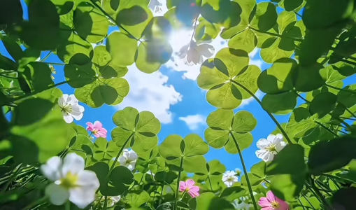 清墨染☆*:.的钢琴谱
