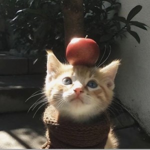 无趣的个人空间