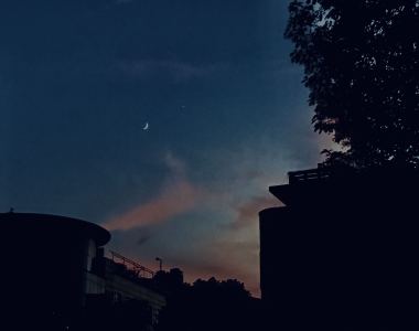 海棠的钢琴谱