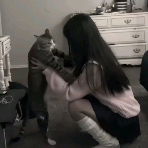  霧中燈 ☥的钢琴谱