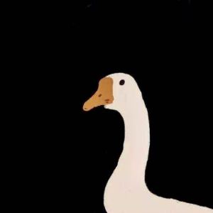 的演奏视频
