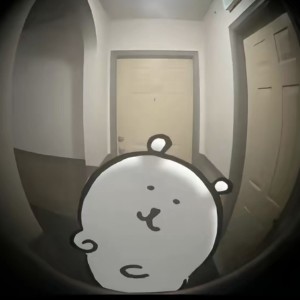 的演奏视频
