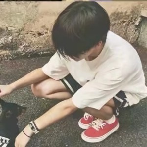 淚.的钢琴谱