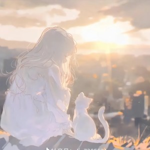 未闻花名的演奏视频
