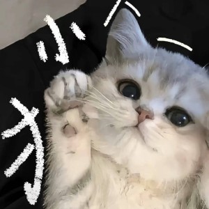 云崖的钢琴谱