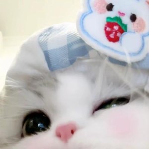 心绪.的钢琴谱
