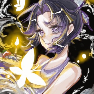 两只老虎的演奏视频