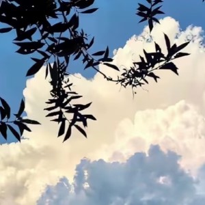 Flower Dance的演奏视频