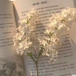 若是一生平凡♬的个人空间