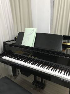 拉德斯基进行曲的演奏视频