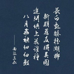 的演奏视频