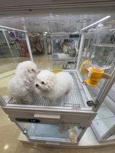 www.@hotmail.com的钢琴谱