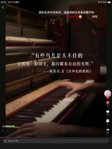 Luvsic的演奏视频
