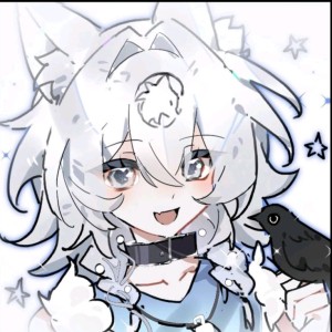 Snowdreams的演奏视频