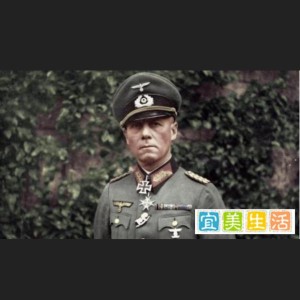 隆美尔的钢琴谱