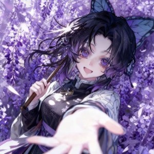 Luvsic的演奏视频