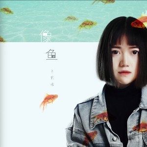 寻水的鱼吉他谱f调