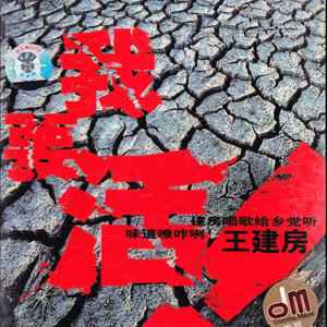 来人间凑数的日子吉他谱