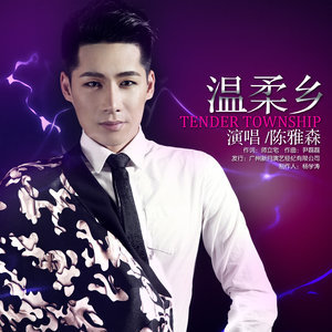温柔乡吉他谱gtp