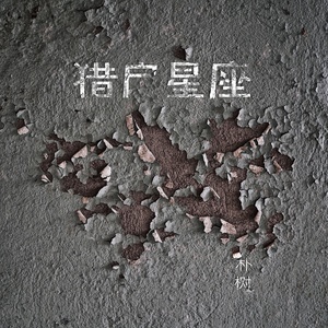 外国人看平凡之路吉他谱