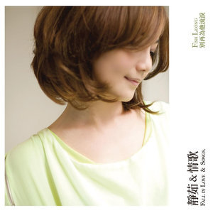 情歌 梁静茹 吉他谱