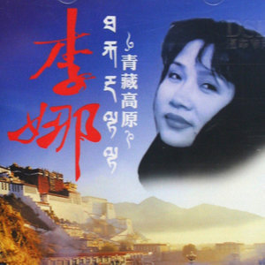 专属剧情吉他谱