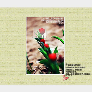 执着经典吉他谱