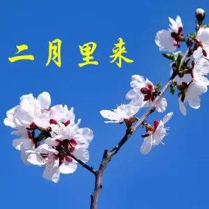 二月里来(古筝版)-钢琴谱