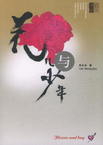 花儿与少年-钢琴谱