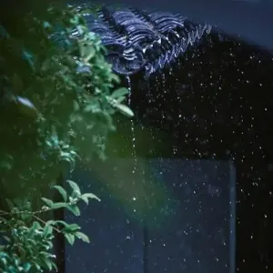 雨中的旋律-钢琴谱