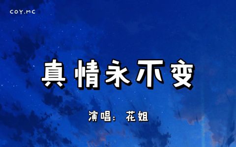 真情永不变-钢琴谱