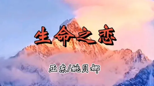 生命之恋-钢琴谱