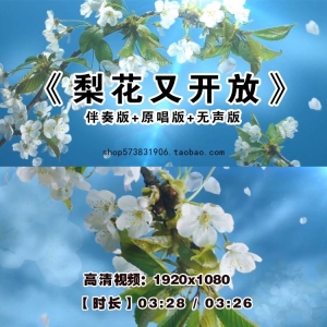 梨花又开放-钢琴谱