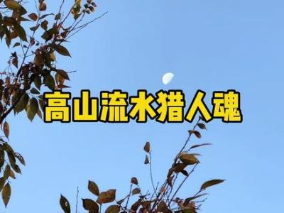 高山流水猎人魂-钢琴谱