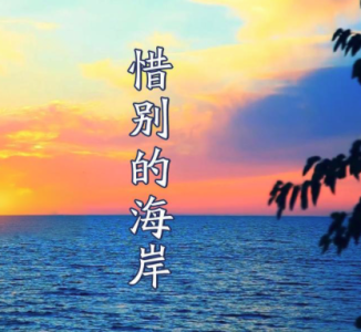 惜别的海岸-钢琴谱