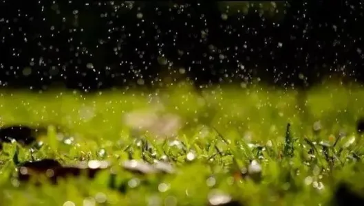小雨-钢琴谱