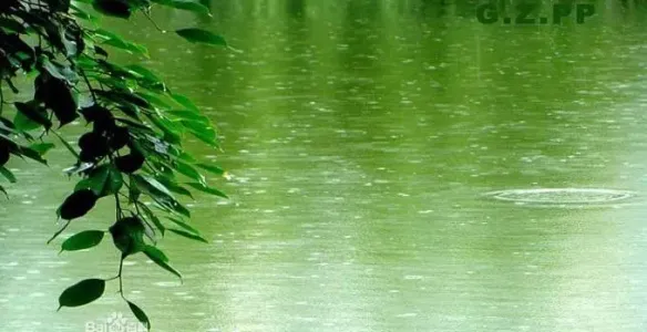 三月里的小雨(DJ版)-钢琴谱