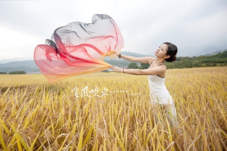 金风吹来的时候-钢琴谱