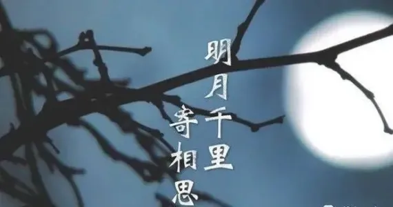 明月千里寄相思(古筝版)-钢琴谱
