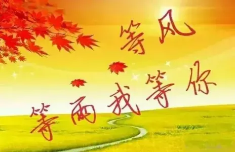 等风等雨我等你-钢琴谱