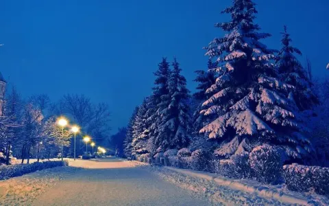 雪地上的回忆(萨克斯）-钢琴谱